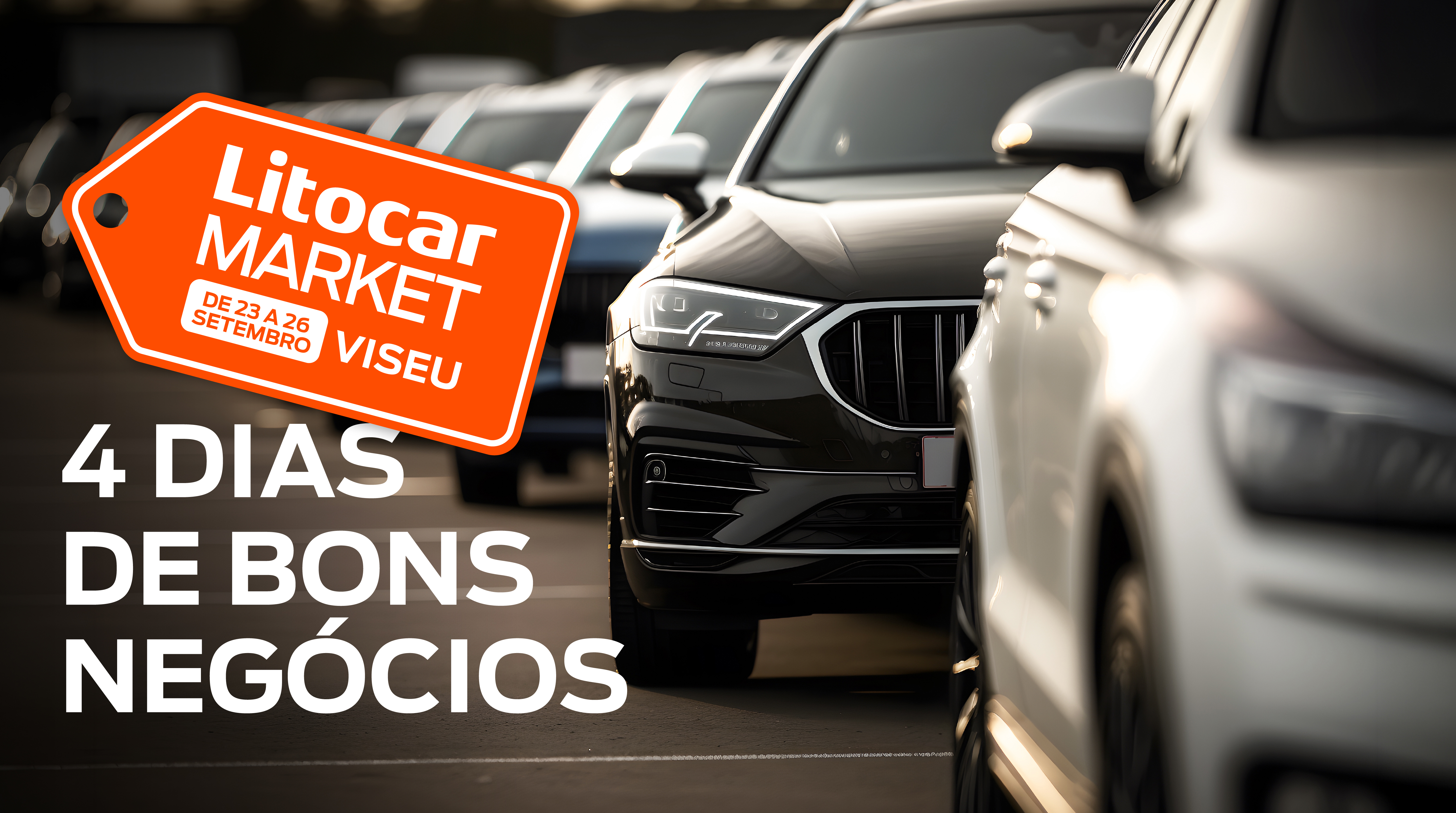 Litocar Market 2026